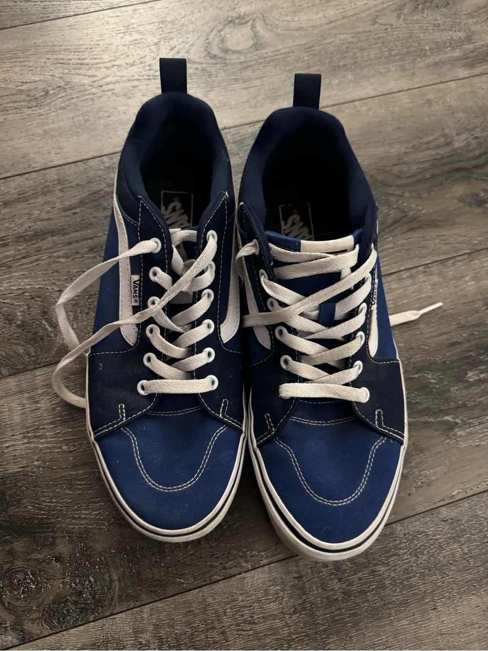 Vans Blue and White Low-Top Skate Sneakers